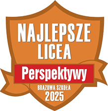 Brązowa szkoła