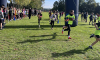 747f1591-1e8b-4232-8bf2-560ba705098a.png