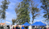 b1db6872-132a-4caa-b9bd-aeb24245a4c7.png