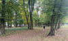 IMG_3163.png