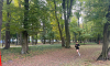 IMG_3164.png