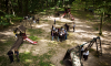 DJI_0029.png