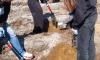 IMG-20250321-WA0003.jpg